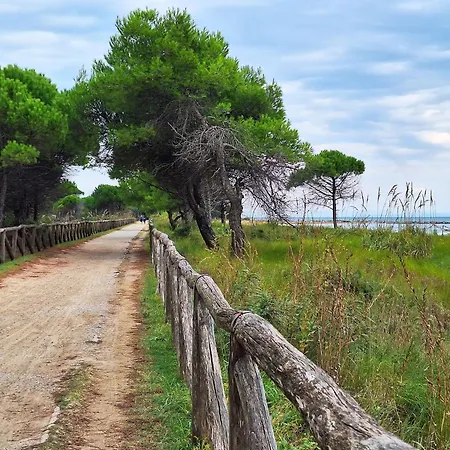 Three-room Flat With Private Garden Next To The Sea